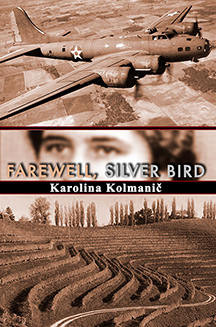 Farewell, Silver Bird by Karolina Kolmanic